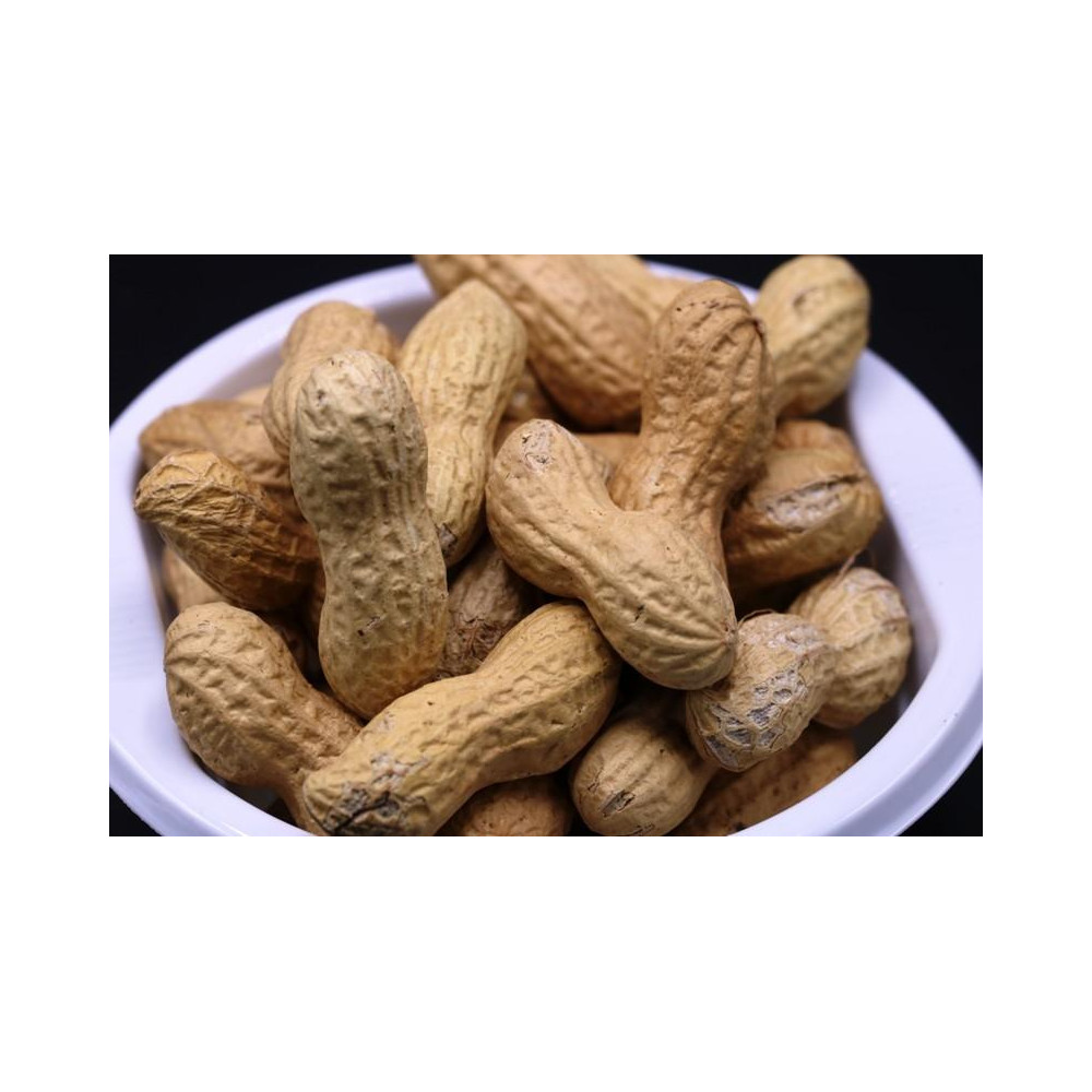 CACAHUETE TOSTADO CON LEÑA DE ENCINA B. DE 500 G